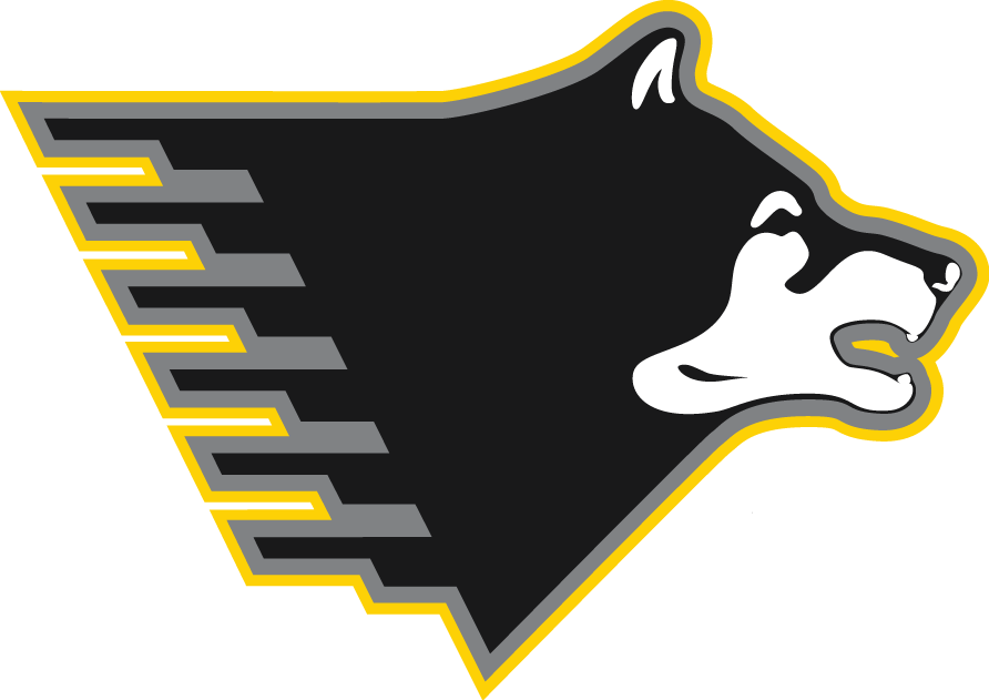 Michigan Tech Huskies 2005-Pres Partial Logo diy iron on heat transfer
